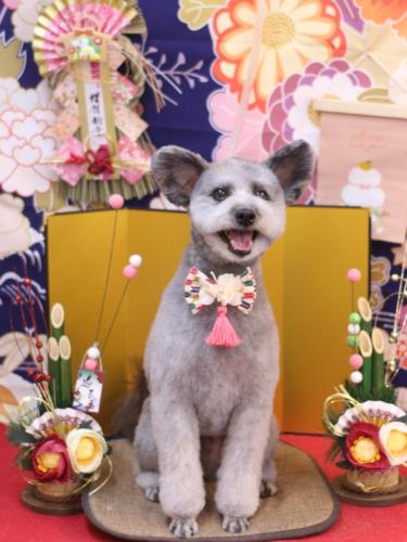 20240127シルヴァくん